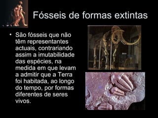 Fósseis de formas extintas São fósseis que não têm representantes actuais, contrariando assim a imutabilidade das espécies, na medida em que levam a admitir que a Terra foi habitada, ao longo do tempo, por formas diferentes de seres vivos. 
