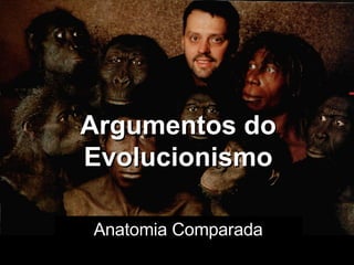 Argumentos do Evolucionismo Anatomia Comparada 