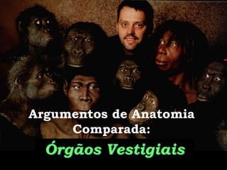 Argumentos de Anatomia
     Comparada:
  Órgãos Vestigiais
       Evolucionismo - Prof. Albano   16
                 Novaes
 