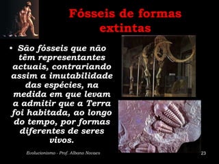 Fósseis de formas
                           extintas
• São fósseis que não
   têm representantes
 actuais, contrariando
assim a imutabilidade
     das espécies, na
 medida em que levam
 a admitir que a Terra
 foi habitada, ao longo
  do tempo, por formas
   diferentes de seres
          vivos.
   Evolucionismo - Prof. Albano Novaes     23
 