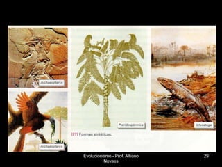 Evolucionismo - Prof. Albano   29
          Novaes
 