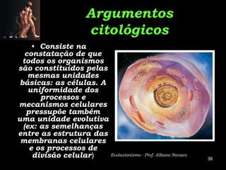 Argumentos
                       citológicos
     • Consiste na
   constatação de que
  todos os organismos
são constituídos pelas
    mesmas unidades
 básicas: as células. A
    uniformidade dos
       processos e
mecanismos celulares
   pressupõe também
uma unidade evolutiva
  (ex: as semelhanças
entre as estrutura das
 membranas celulares
    e os processos de
     divisão celular)   Evolucionismo - Prof. Albano Novaes
                                                              38
 