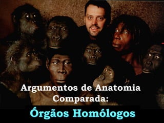 Argumentos de Anatomia
     Comparada:
 Órgãos Homólogos        7
 