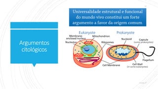 Argumentos
citológicos
 