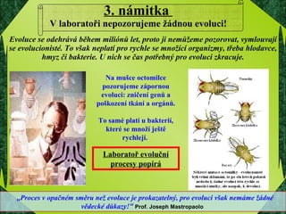 Evoluce se odehrává během miliónů let, proto ji nemůžeme pozorovat, vymlouvají se evolucionisté. To však neplatí pro rychle se množící organizmy, třeba hlodavce, hmyz či bakterie. U nich se čas potřebný pro evoluci zkracuje. 3. námitka  V laboratoři nepozorujeme žádnou evoluci! Na mušce octomilce pozorujeme zápornou evoluci: zničení genů a poškození tkání a orgánů. To samé platí u bakterií, které se množí ještě rychleji.  Laboratoř evoluční procesy popírá „ Proces v opačném směru než evoluce je prokazatelný, pro evoluci však nemáme žádné vědecké důkazy! “  Prof. Joseph Mastropaolo   
