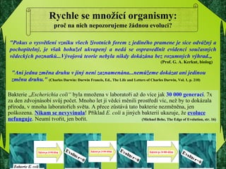Rychle se množící organismy: proč na nich nepozorujeme žádnou evoluci? "Pokus o vysvětlení vzniku všech životních forem z jediného pramene je sice odvážný a pochopitelný, je však bohužel ukvapený a nedá se ospravedlnit evidencí současných vědeckých poznatků...Vývojová teorie nebyla nikdy dokázána bez rozumných výhrad.„       (Prof. G. A. Kerkut, biolog) "Ani jedna změna druhu v jiný není zaznamenána...nemůžeme dokázat ani jedinou změnu druhu."  (Charles Darwin: Darwin Francis, Ed., The Life and Letters of Charles Darwin, Vol. 1, p. 210)  Bakterie „ Escherichia coli“  byla množena v laboratoři až do více jak  30 000 generací . 7x za den zdvojnásobí svůj počet. Mnoho let jí vědci měnili prostředí víc, než by to dokázala příroda, v mnoha laboratořích světa. A přece zůstává tato bakterie nezměněna, jen poškozena.  Nikam se nevyvinula ! Příklad  E. coli  a jiných bakterií ukazuje, že  evoluce nefunguje . Neumí tvořit, jen bořit.   (Michael Behe, The Edge of Evolution, str. 16) 