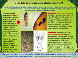 Je to tak: ta evoluce nám nějak „zamrzla“! Zde je několik dalších příkladů orgánů a organizmů „bez vývoje“, přestože prý žily na tomto světě milióny let až do současnosti - mnozí z nich jsou však dnes stejní, jako jejich „dávné“ zkameněliny. Říká se jim proto „živé zkameněliny“. Evoluce se jich ani nedotkla... Nejstarší dosud nalezené  ptačí pero   (Německo, evoluční řazení: křída). Je k nerozeznání od současných per a nepodporuje teorii, že peří vznikalo roztřepením plazí šupiny; podobně ze šupin měla vzniknout i srst a chlupy savců.  O této víře jsou ve zkamenělinách  nulové  důkazy – přitom peří i chlupy se velmi dobře zachovávají, často lépe než kosti. „ 95 miliónů let“ stará  zkamenělina chobotnice  (nález z Libanonu) je k nerozeznání od těch dnešních, moderních chobotnic! Těm se nějak podařilo ukrýt před všemocnou evolucí a zachovat si původní formát, ten „zkamenělý“. Evoluční vědci byli opět v šoku – milióny let a žádná evoluce? Pomalu si ale už zvykají („je toho na ně holt už moc“).   Mravenec v jantaru.   Je stejný jako ti současní mravenci, kteří „40 miliónů let“ prchali před evolucí. Velká naleziště jantaru s hmyzem uvnitř jsou v Dominikánské republice. Dokonce se podařilo oživit bakterie uvězněné ve včelách v jantaru! „Milióny let“ si vegetovaly v horku bez jakéhokoliv metabolizmu. „ Brzy mi bylo jasné, že existuje mnoho vědeckých námitek vůči této teorii  (evoluce)  a že si tyto námitky zaslouží větší publicitu.“  Prof. Maciej Giertych, obor zájmu: populační genetika 