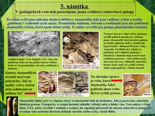 Po celém světě jsou nalézány doslova hřbitovy zkamenělin, kde jsou i miliony zvířat a rostlin „pohřbeny“ evidentně zcela naráz. Promíchány bahnem, větvemi a rostlinami jsou zde pohřbená zkamenělá zvířata, která spolu běžně nežijí. To může vysvětlit jen potopa planetárního rozměru.  5. námitka  V geologických vrstvách pozorujeme jasná svědectví celosvětové potopy Zkamenělý lidský prst ve vápenci, který evolucionisté řadí do druhohor. Zde je porovnán s dnešním lidským prstem. Vykopávky ve stejné hornině odhalily i dětské zuby a lidský vlas. Tyto nálezy z Glen Rose, USA, nelze vysvětlit v souladu s evolucí, ale zapadají přirozeně do obrazu celosvětové potopy. O ní máme také nesčetné literární doklady národů celého světa, včetně Bible. Kmeny zkamenělých stromů nazývané polystráty. Jak by mohly vrstvy kolem nich sedimentovat milióny let?  Na obrázku vpravo je ryba, která zkameněla, když požírala jinou rybu. Byl to rychlý proces. Formace Karoo v Jižní Africe obsahuje asi 800 miliard obratlovců, většinou plazů. Zkamenělé kosti hrochů najdeme na Sicilii, miliardu sleďů v Kalifornii, hmyzí fosílie v Belmont-Warner´s Bay, Australie. Na Sibiři až k Aljašce je pohřbeno asi 5 milionů mamutů, v žaludcích a tlamách mají nestrávenou rostlinnou potravu – smrt přišla naráz. Jsou tam též ovce, velbloudi, nosorožci, bizoni, koně, tygři, lvi a další zvířata. Jedno mají společné: všichni utonuli. Asfaltové jámy v Los Angeles, USA. Jsou zde pohřbeny tisíce savců, ptáků, hmyzu i lidské kosti, to vše promícháno větvemi, rostlinami a bahnem. 