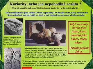 Kuriozity, nebo jen nepohodlná realita ? Jsou nepříjemné a jsou všude! O čem vypovídají? O Realitě světa, který měl docela jinou minulost, než nás učili ve škole a než opakují do omrzení všechna média.  Jedna z lidských stop v řečišti Poluxy river v Texasu, USA. Evolučně řazeno do druhohor. Rýhované koule z Jižní Afriky, staré údajně /dle vrstvy, kde byly nalezeny/ 2,3 miliardy let! Poté, co byl tento nález odvysílán v televizi NBC (USA), vypukla v akademických kruzích zuřivá debata. Kdo by mohl v době před prvohorami odlévat koule?  Trilobit rozšlápnutý obutou nohou v hornině řazené evolucionisty do kambria, do počátku prvohor, kdy neměli žít ještě ani savci, natož lidé. Nález učinil sběratel zkamenělin dr. William Meister v roce 1968 v Utahu, USA. Když rozumný člověk zjistí fakta, která popírají jeho názor, změní názor.  Ostatní popřou fakta. Není nic snazšího než označit tyto nálezy za kuriozity – a tím se jich zbavit !  