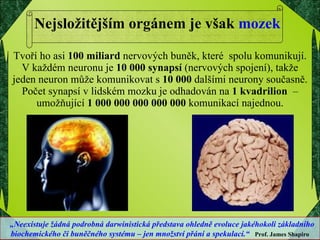 Nejsložitějším orgánem je však  mozek Tvoří ho asi  100 miliard  nervových buněk, které  spolu komunikují. V každém neuronu je  10 000 synapsí  (nervových spojení), takže jeden neuron může komunikovat s  10 000  dalšími neurony současně. Počet synapsí v lidském mozku je odhadován na  1 kvadrilion  – umožňující  1 000 000 000 000 000  komunikací najednou. „ Neexistuje žádná podrobná darwinistická představa ohledně evoluce jakéhokoli základního biochemického či buněčného systému – jen množství přání a spekulací.“   Prof. James Shapiro 