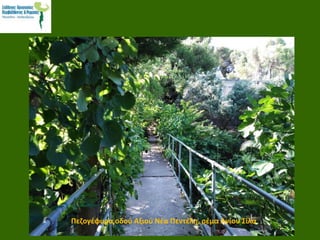 Πεζογέφυρα οδού Αξιού Νέα Πεντέλη, ρέμα Αγίου Σίλα
 