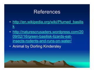 References
• http://en.wikipedia.org/wiki/Plumed_basilis
  k
• http://naturescrusaders.wordpress.com/20
  09/02/16/green-basilisk-lizards-eat-
  insects-rodents-and-runs-on-water/
• Animal by Dorling Kindersley
 