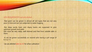 SOIL REQUREMENTS and plot allotted-
-Red gram can be grown in almost all soil types that are not very
poor in lime and are not subjected to water logging.
-But deep sandy loam and clayey loams are supposed to give
optimum growth and yield.
Soil must be very deep, well drained and free from soluble salts in
them.
-It can be grown successfully on neutral soils having a pH range of
6.5 to 7.5
-we are allotted plot no 15 for arhar cultivation
 