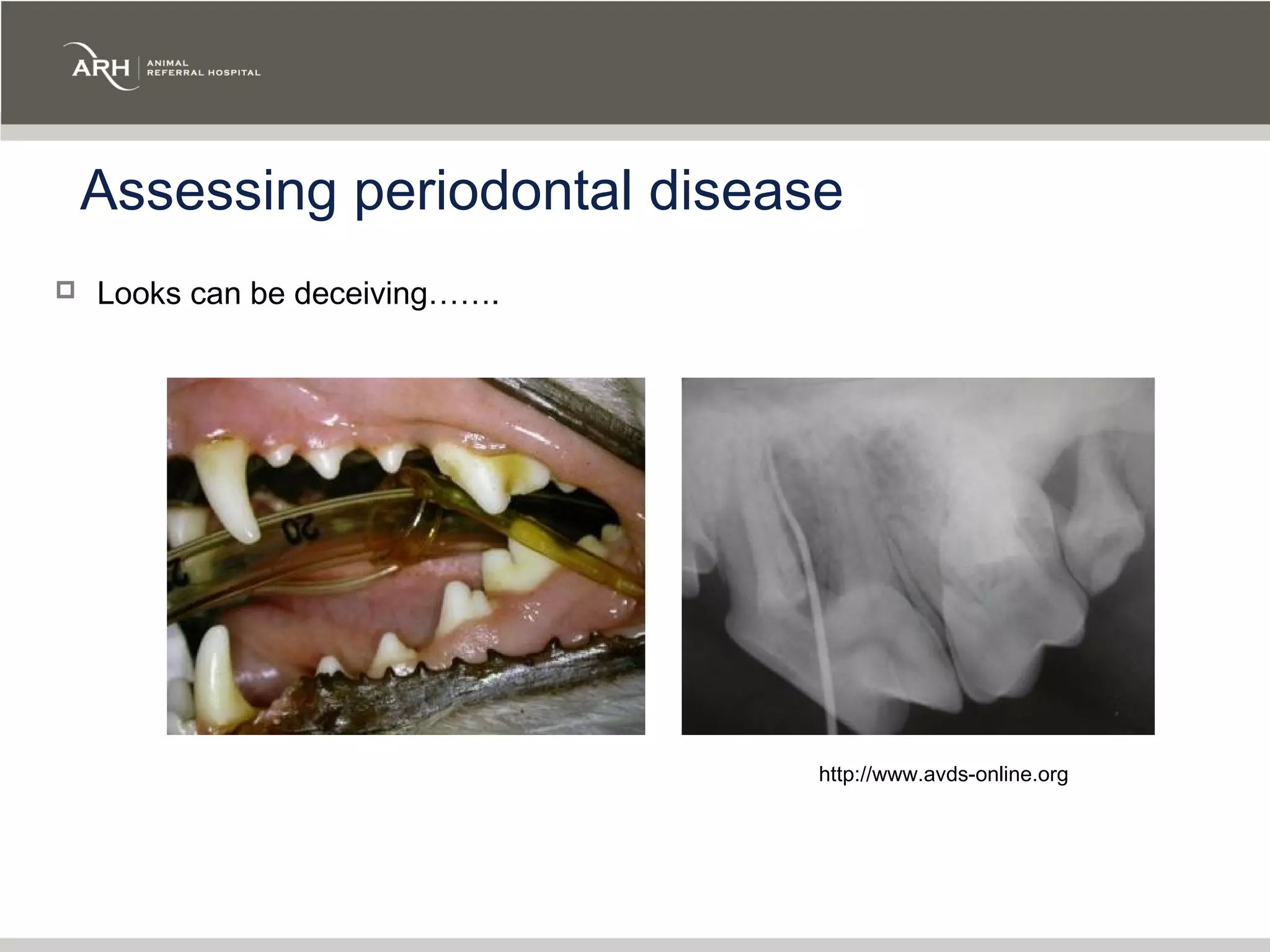 Assessing periodontal disease
   Looks can be deceiving…….




                                http://www.avds-online.org
 