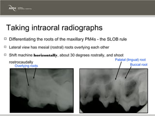 ARH Dental Radiology Workshop | PPT