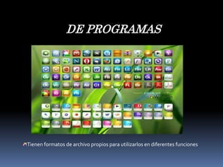 DE PROGRAMASTienen formatos de archivo propios para utilizarlos en diferentes funciones