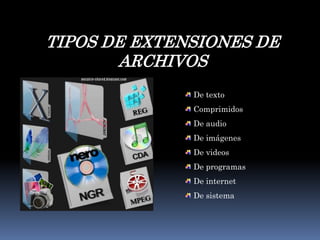 TIPOS DE EXTENSIONES DE ARCHIVOS De textoComprimidosDe audio De imágenesDe videosDe programasDe internetDe sistema