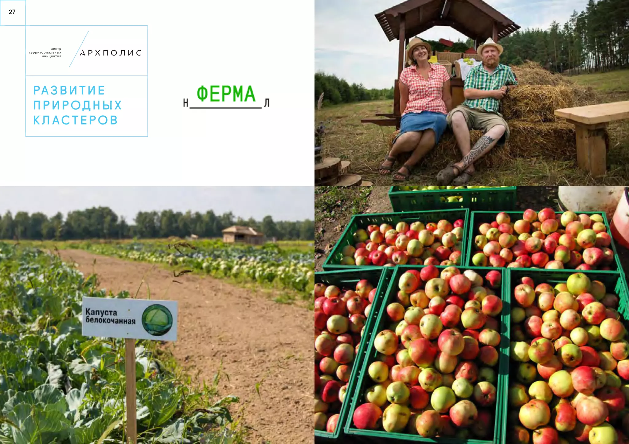 27 
Ра з в и т и е 
п р и р од н ы х 
к л а с т е р о в 
 