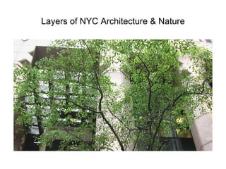 Layers of NYC Architecture & Nature

 