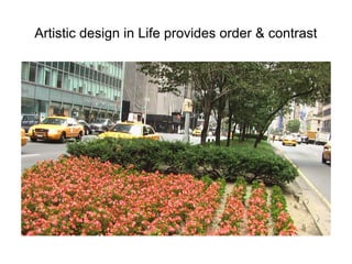 Artistic design in Life provides order & contrast

 