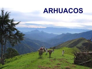 ARHUACOS 