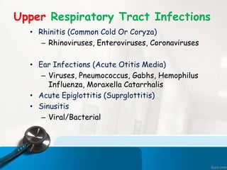 Upper Respiratory Tract Infections
• Rhinitis (Common Cold Or Coryza)
– Rhinoviruses, Enteroviruses, Coronaviruses
• Ear Infections (Acute Otitis Media)
– Viruses, Pneumococcus, Gabhs, Hemophilus
Influenza, Moraxella Catarrhalis
• Acute Epiglottitis (Suprglottitis)
• Sinusitis
– Viral/Bacterial
 