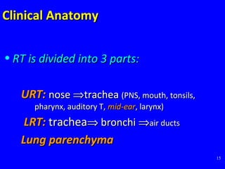 15
Clinical AnatomyClinical Anatomy
• RT is divided into 3 parts:RT is divided into 3 parts:
URT:URT: nosenose ⇒⇒tracheatrachea (PNS, mouth, tonsils,(PNS, mouth, tonsils,
pharynx, auditory T,pharynx, auditory T, mid-earmid-ear, larynx), larynx)
LRT:LRT: tracheatrachea⇒⇒ bronchibronchi ⇒⇒air ductsair ducts
Lung parenchymaLung parenchyma
 