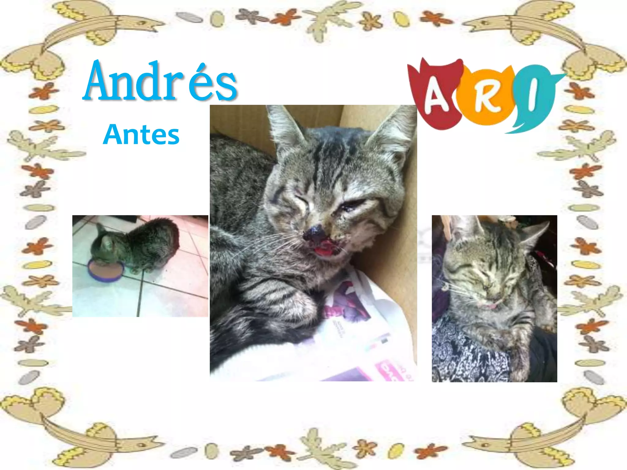 Andrés
Antes
 