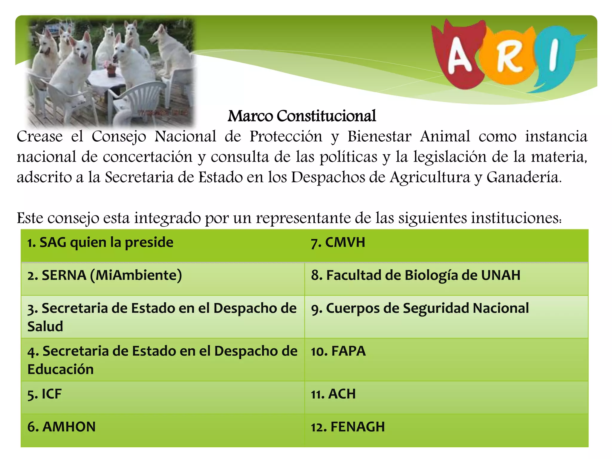 Marco Constitucional
Crease el Consejo Nacional de Protección y Bienestar Animal como instancia
nacional de concertación y consulta de las políticas y la legislación de la materia,
adscrito a la Secretaria de Estado en los Despachos de Agricultura y Ganadería.
Este consejo esta integrado por un representante de las siguientes instituciones:
1. SAG quien la preside 7. CMVH
2. SERNA (MiAmbiente) 8. Facultad de Biología de UNAH
3. Secretaria de Estado en el Despacho de
Salud
9. Cuerpos de Seguridad Nacional
4. Secretaria de Estado en el Despacho de
Educación
10. FAPA
5. ICF 11. ACH
6. AMHON 12. FENAGH
 