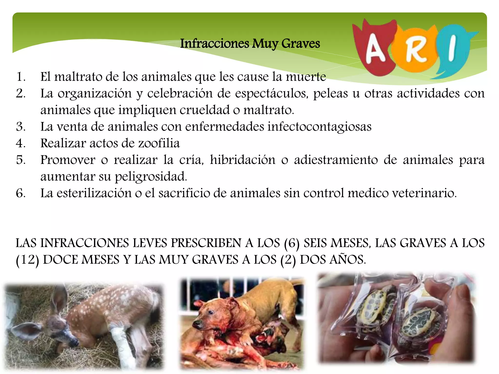Infracciones Muy Graves
1. El maltrato de los animales que les cause la muerte
2. La organización y celebración de espectáculos, peleas u otras actividades con
animales que impliquen crueldad o maltrato.
3. La venta de animales con enfermedades infectocontagiosas
4. Realizar actos de zoofilia
5. Promover o realizar la cría, hibridación o adiestramiento de animales para
aumentar su peligrosidad.
6. La esterilización o el sacrificio de animales sin control medico veterinario.
LAS INFRACCIONES LEVES PRESCRIBEN A LOS (6) SEIS MESES, LAS GRAVES A LOS
(12) DOCE MESES Y LAS MUY GRAVES A LOS (2) DOS AÑOS.
 