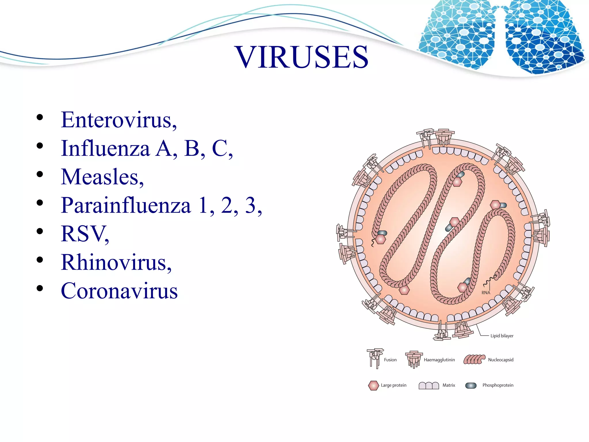 Acute respiratory infection (ARI) | ODP