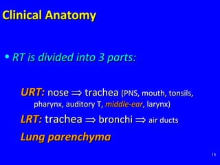 16
Clinical AnatomyClinical Anatomy
• RT is divided into 3 parts:RT is divided into 3 parts:
URT:URT: nosenose ⇒⇒ tracheatrachea (PNS, mouth, tonsils,(PNS, mouth, tonsils,
pharynx, auditory T,pharynx, auditory T, middle-earmiddle-ear, larynx), larynx)
LRT:LRT: tracheatrachea ⇒⇒ bronchibronchi ⇒⇒ air ductsair ducts
Lung parenchymaLung parenchyma
 