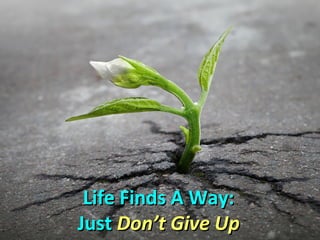 Life Finds A Way:Life Finds A Way:
JustJust Don’t Give UpDon’t Give Up
 