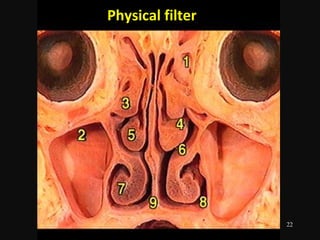 22
Physical filterPhysical filter
 