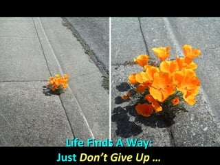 Life Finds A Way:Life Finds A Way:
JustJust Don’t Give Up …Don’t Give Up …
 