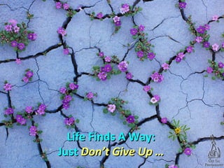 Life Finds A Way:Life Finds A Way:
JustJust Don’t Give Up …Don’t Give Up …
 