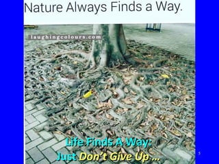 5
Life Finds A Way:Life Finds A Way:
JustJust Don’t Give Up …Don’t Give Up …
 