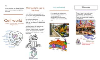 Key:
In this brochure, the bottom picture is
what it represents and the top is the
attraction.

Memories to last a
lifetime
At the Cell word amusement park, you
will find many rides, snack stands and fun
games the most popular being:

Cell world
“Where microscopic becomes
megascopic”

Cell membrane, Ribosomes,
Mitochondria, Vacuole, Cytoplasm, The
rough ER, The smooth ER, The pores, and
the nucleus.
Also, help the park stay clean with our
“lysosome” system. In a real cell
lysosomes break down wast. In this park,
they are 21st century trashcans that use
environmentally friendly acid to break
down trash.

CELL MEMBRAIN

In a cell, the cell membranin
controls what goes in and out
of the cell but in this
amusement park, it is a slow
train that takes you around the
park

Ribosomes

Grab a snack at one of the many
“Ribosomes” around the park.
Themed after the protean original
there are a perfect place to grade a
quick snack.

 