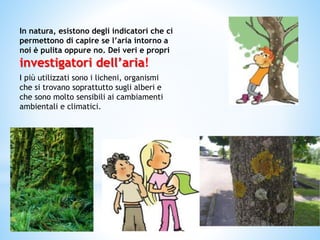 In natura, esistono degli indicatori che ci
permettono di capire se l’aria intorno a
noi è pulita oppure no. Dei veri e propri
investigatori dell’aria!
I più utilizzati sono i licheni, organismi
che si trovano soprattutto sugli alberi e
che sono molto sensibili ai cambiamenti
ambientali e climatici.
 