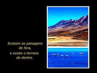 Existem as paisagens de fora, e existe o terreno  de dentro. 