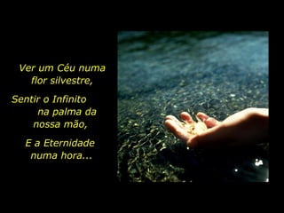 Ver um Céu numa flor silvestre, Sentir o Infinito  na palma da  nossa mão, E a Eternidade  numa hora... 