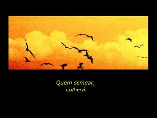 Quem semear,  colherá. 