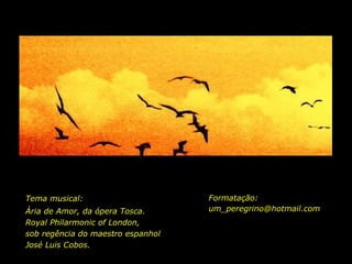 Formatação: [email_address] Tema musical: Ária de Amor, da ópera Tosca. Royal Philarmonic of London, sob regência do maestro espanhol  José Luis Cobos. 