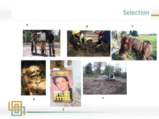 Selection
A
B C
E
D F
 