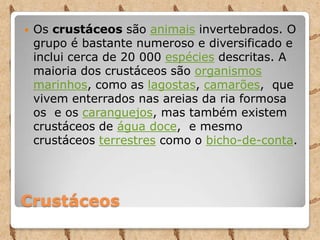 Crustáceos
 Os crustáceos são animais invertebrados. O
grupo é bastante numeroso e diversificado e
inclui cerca de 20 000 espécies descritas. A
maioria dos crustáceos são organismos
marinhos, como as lagostas, camarões, que
vivem enterrados nas areias da ria formosa
os e os caranguejos, mas também existem
crustáceos de água doce, e mesmo
crustáceos terrestres como o bicho-de-conta.
 