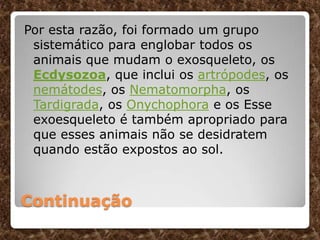 Continuação
Por esta razão, foi formado um grupo
sistemático para englobar todos os
animais que mudam o exosqueleto, os
Ecdysozoa, que inclui os artrópodes, os
nemátodes, os Nematomorpha, os
Tardigrada, os Onychophora e os Esse
exoesqueleto é também apropriado para
que esses animais não se desidratem
quando estão expostos ao sol.
 