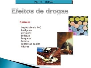 PIEF T1 - OEIRAS 