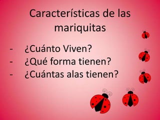Características de las mariquitas ¿Cuánto Viven?