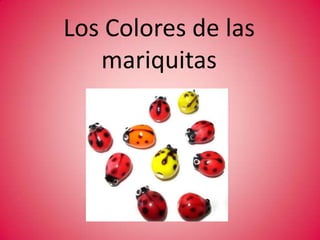 ¿Cuántas alas tienen?