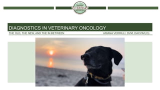 THE OLD, THE NEW, AND THE IN BETWEEN ARIANA VERRILLI, DVM, DACVIM (O)
DIAGNOSTICS IN VETERINARY ONCOLOGY
 